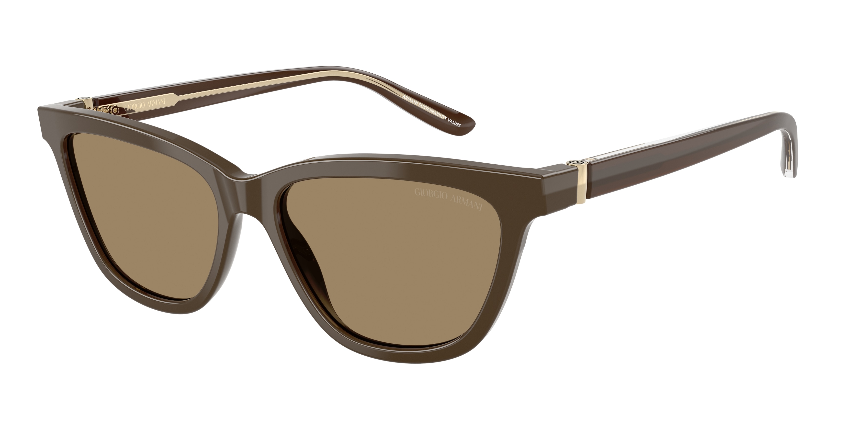 Giorgio Armani AR8221 595753  